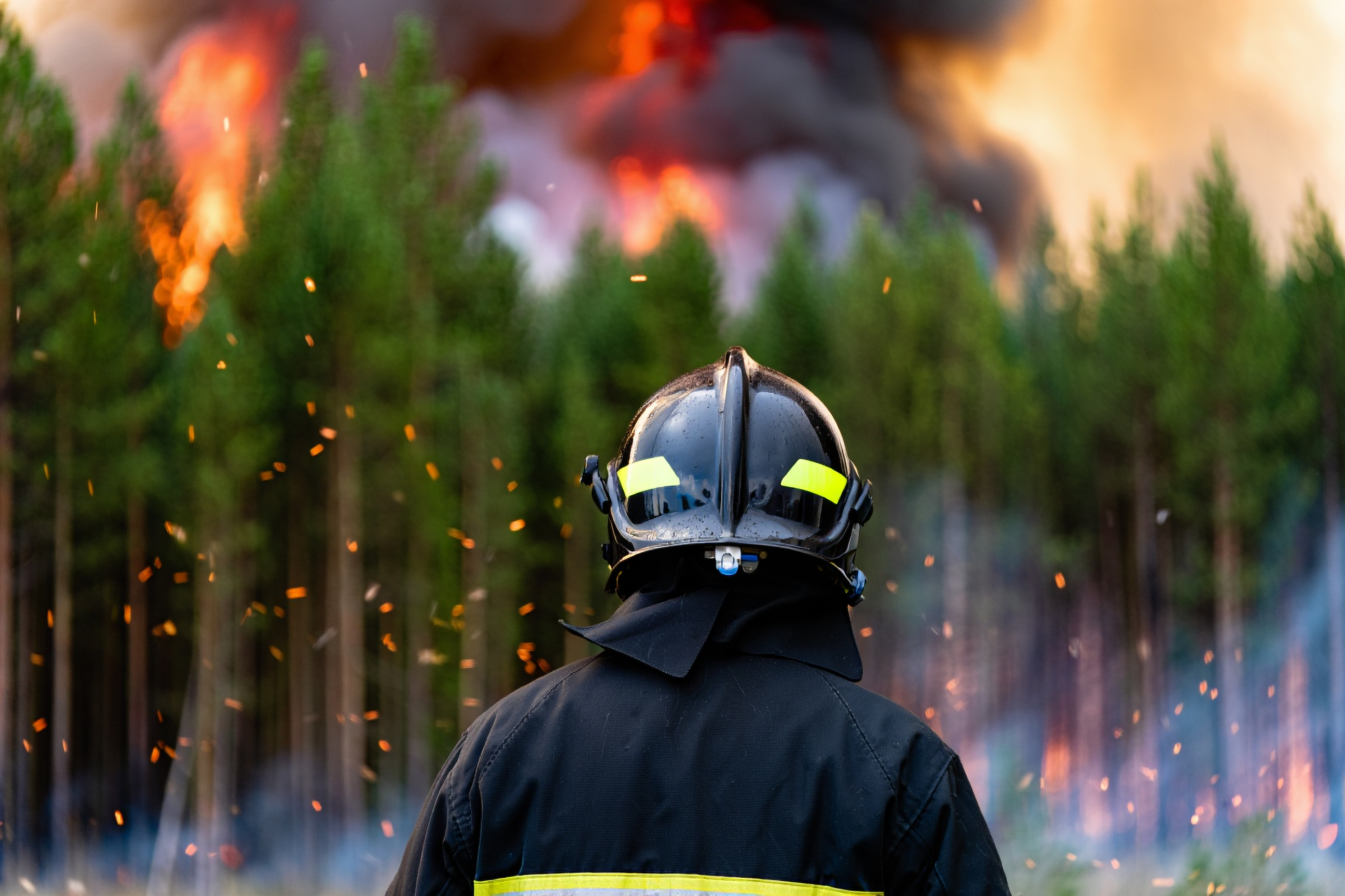 Firefighter in uniform and helmet facing a burning forest
